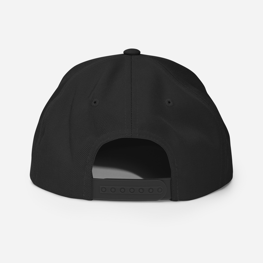 Tenacious Tribute Snapback-Cap – Schwarz Seitenansicht