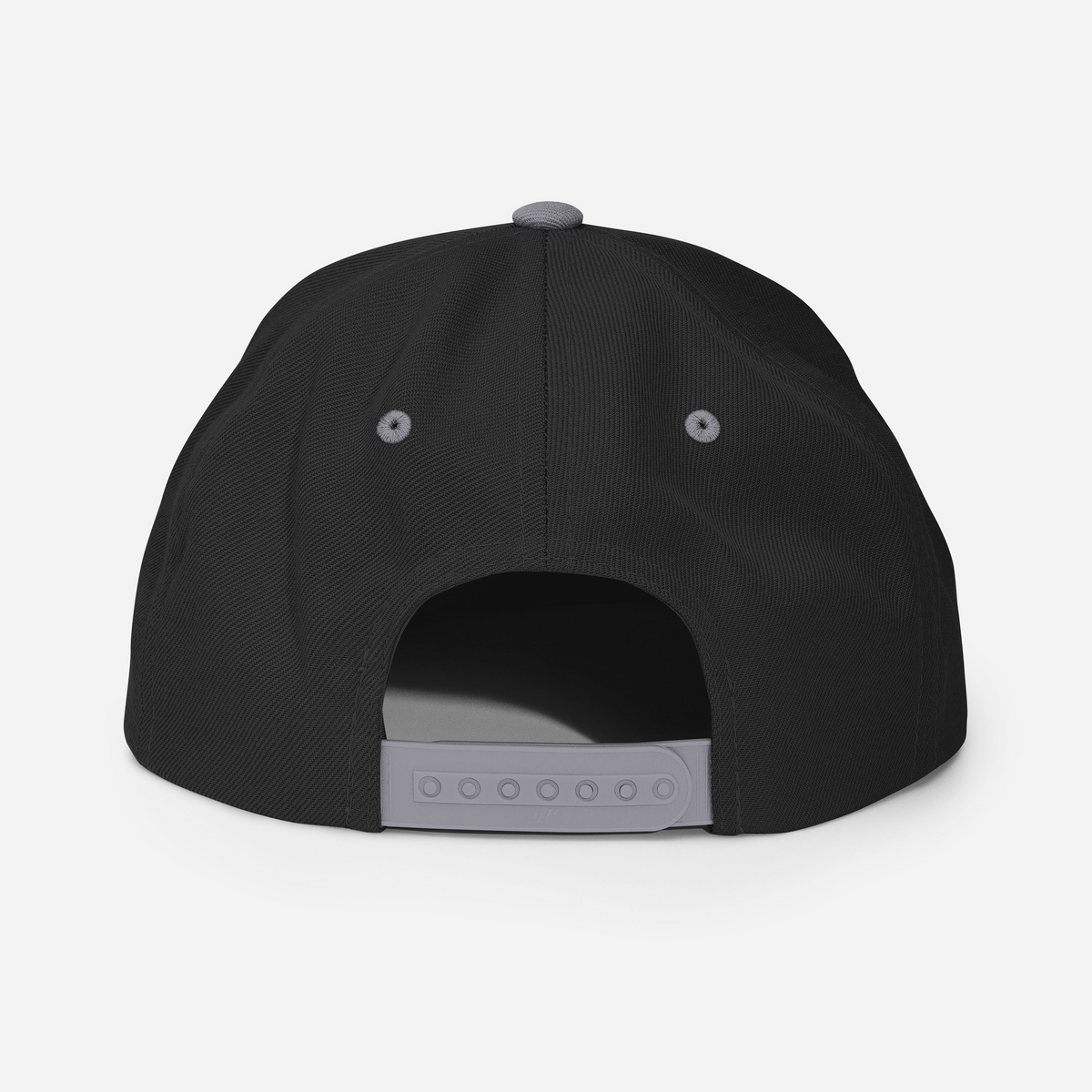 Tenacious Tribute Snapback-Cap – Schwarz/Silber Rückseite