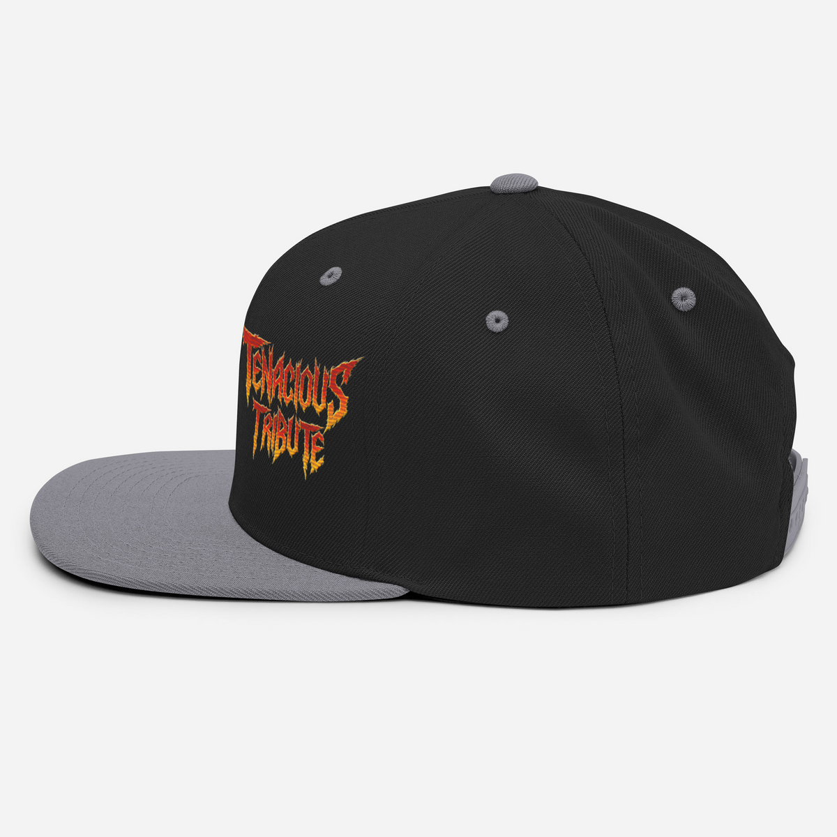 Tenacious Tribute Snapback-Cap – Schwarz/Silber linke Seite