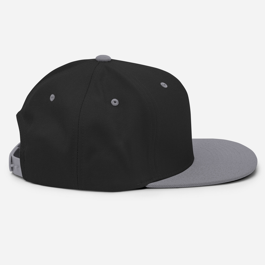 Tenacious Tribute Snapback-Cap – Schwarz/Silber rechte Seite