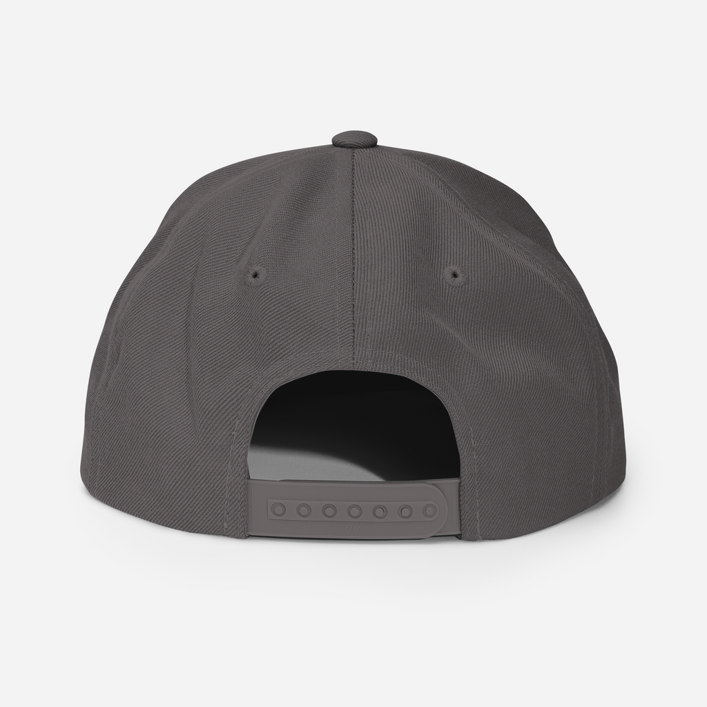 Tenacious Tribute Snapback-Cap – Dunkelgrau Rückseite