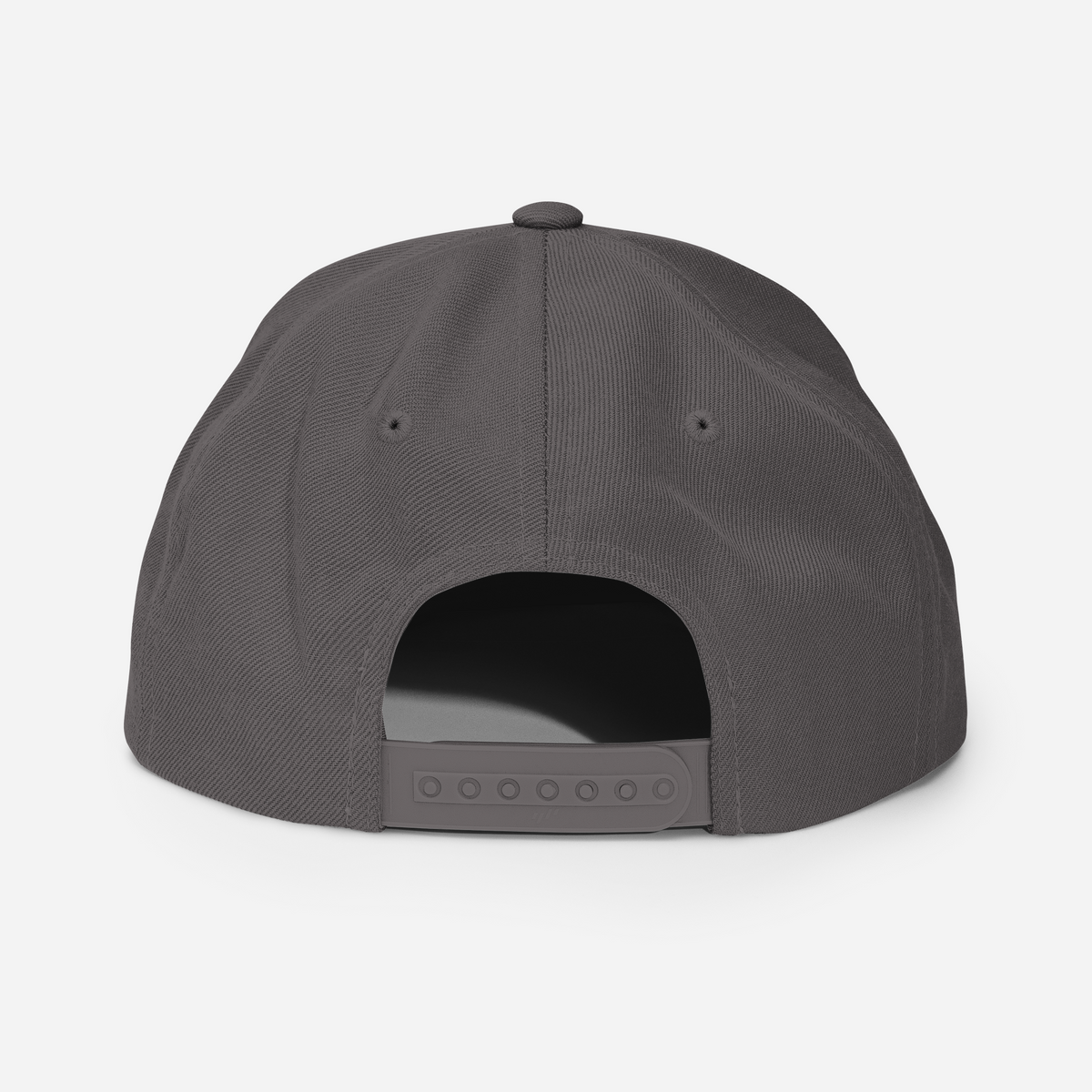 Tenacious Tribute Snapback-Cap – Dunkelgrau Rückseite