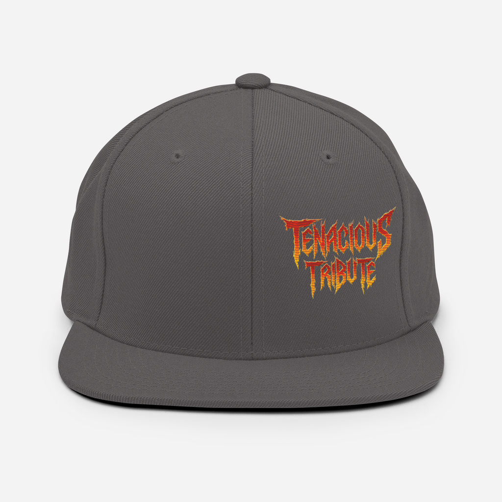 Tenacious Tribute Snapback-Cap – Dunkelgrau Vorderseite