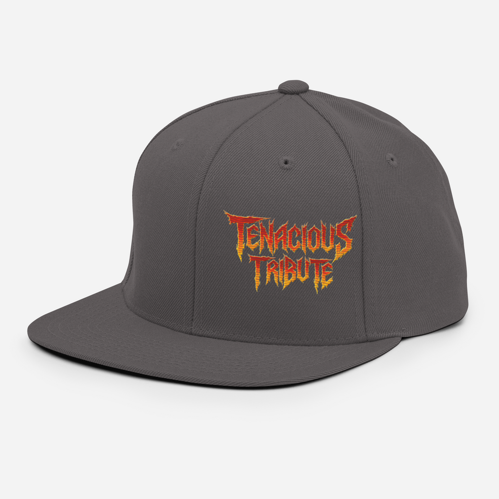 Tenacious Tribute Snapback-Cap – Dunkelgrau links vorne