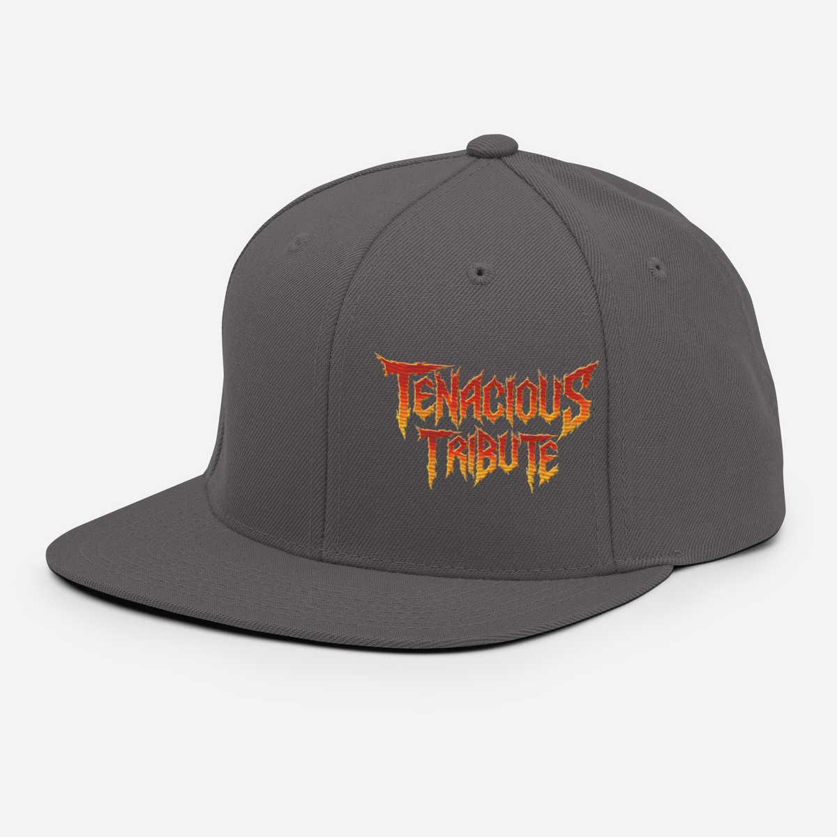 Tenacious Tribute Snapback-Cap – Dunkelgrau links vorne
