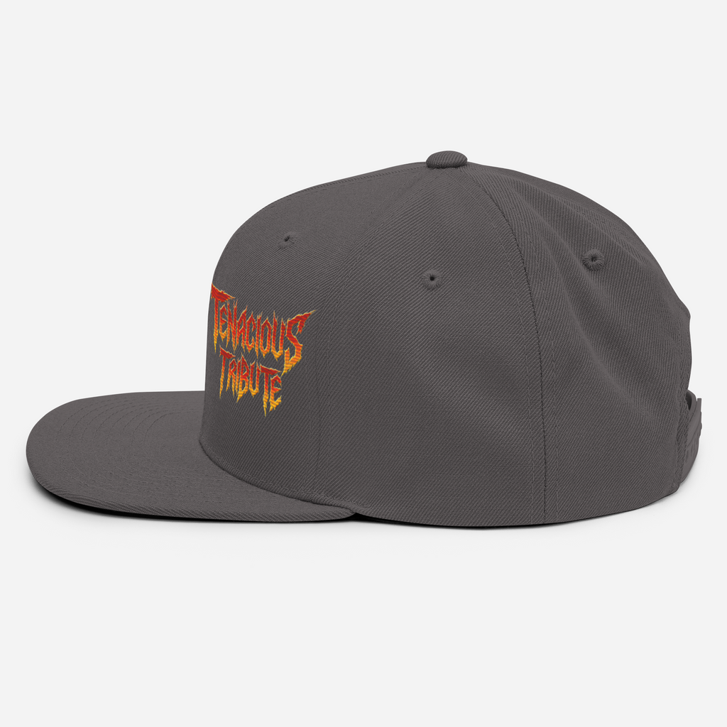 Tenacious Tribute Snapback-Cap – Dunkelgrau linke Seite