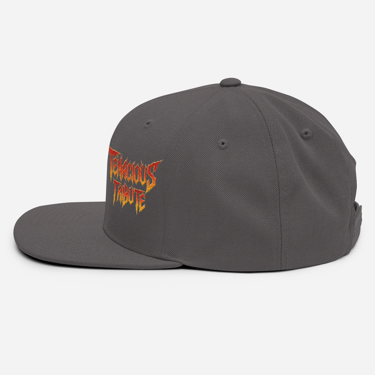 Tenacious Tribute Snapback-Cap – Dunkelgrau linke Seite