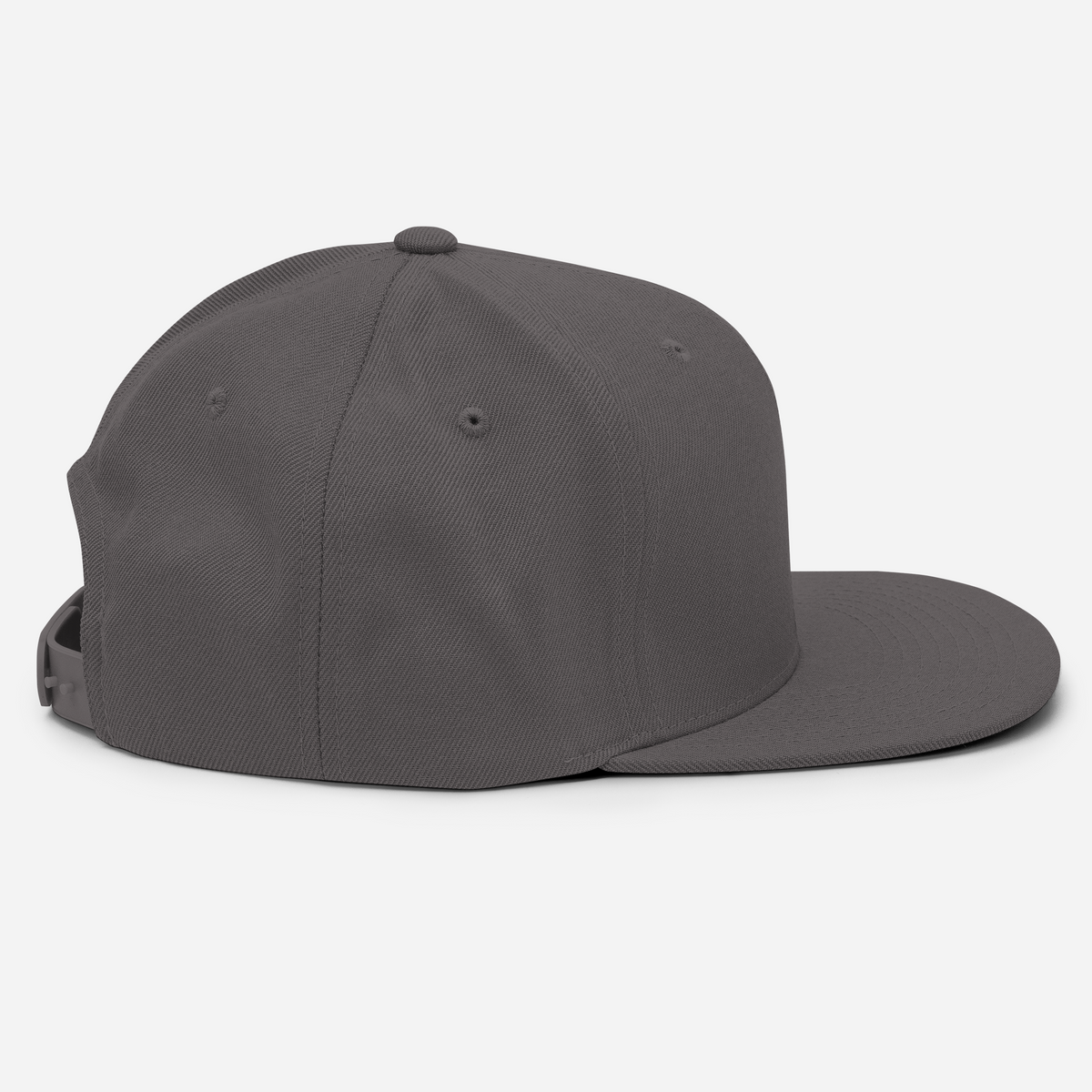 Tenacious Tribute Snapback-Cap – Dunkelgrau rechte Seite